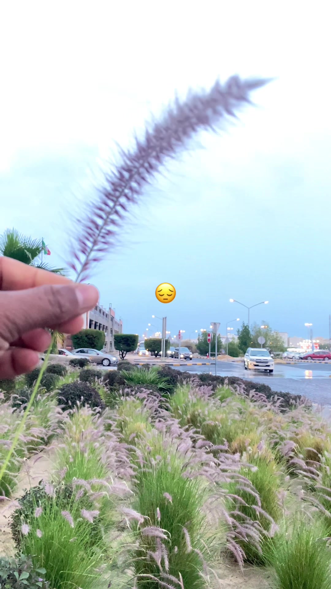 @㋡𝙰_𝚜_𝚁_𝚊_𝙵㋡         _🇰🇼