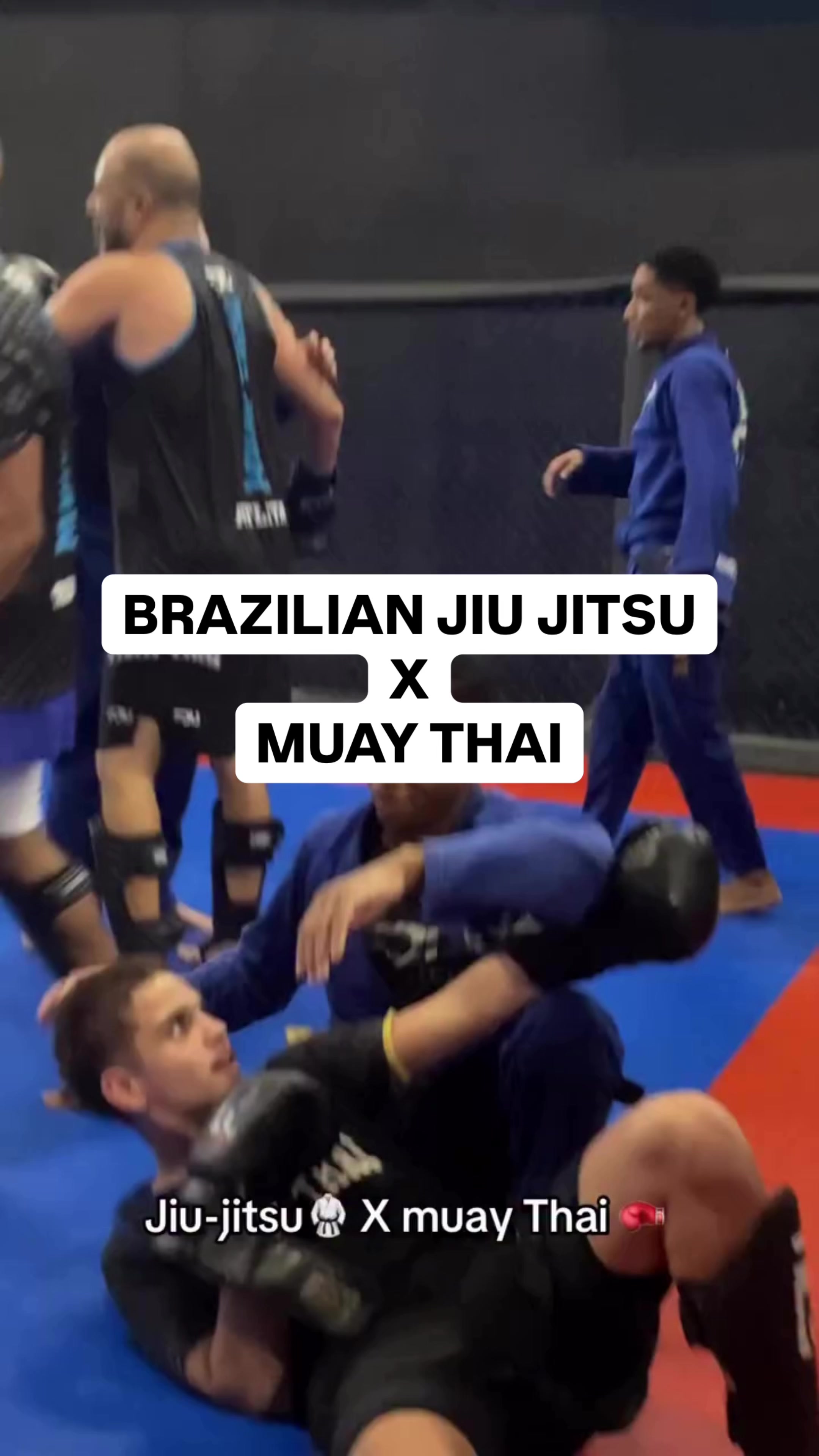 @Havel Marques | BJJ BLACK BELT