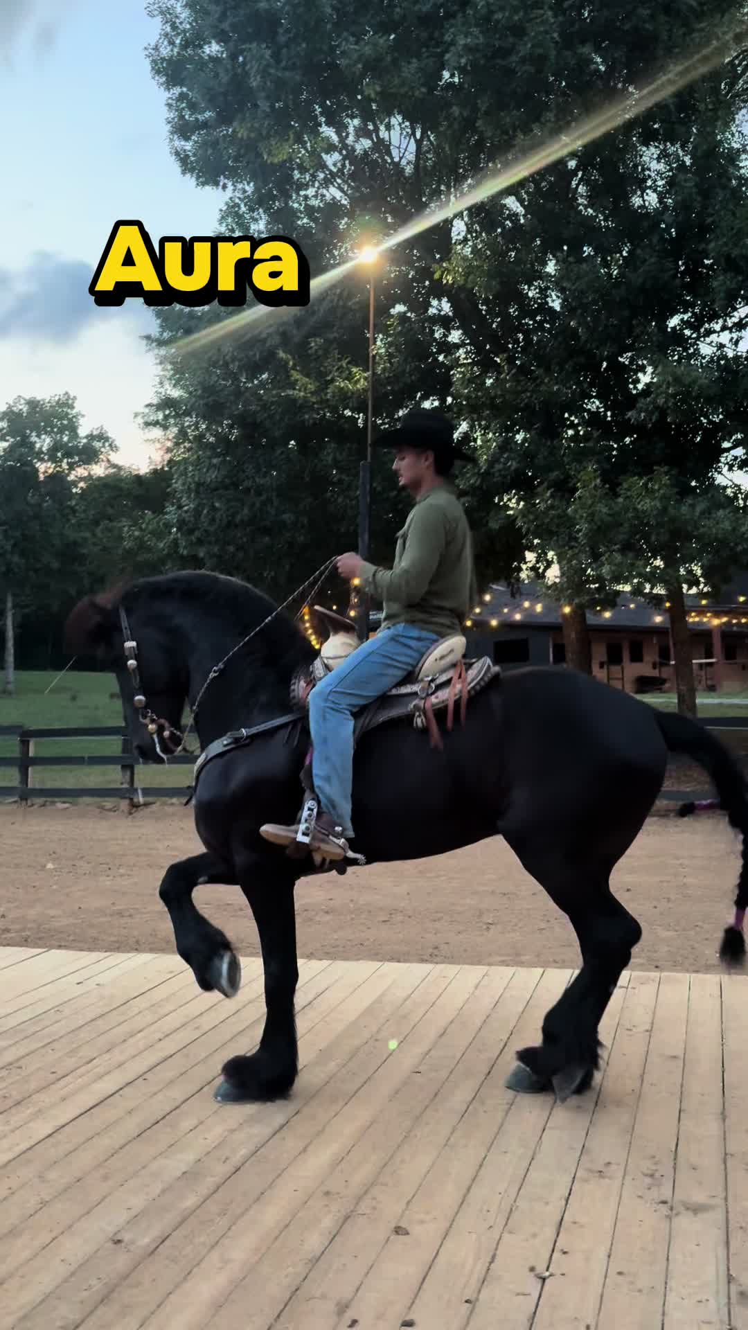 @LoudandBoozy