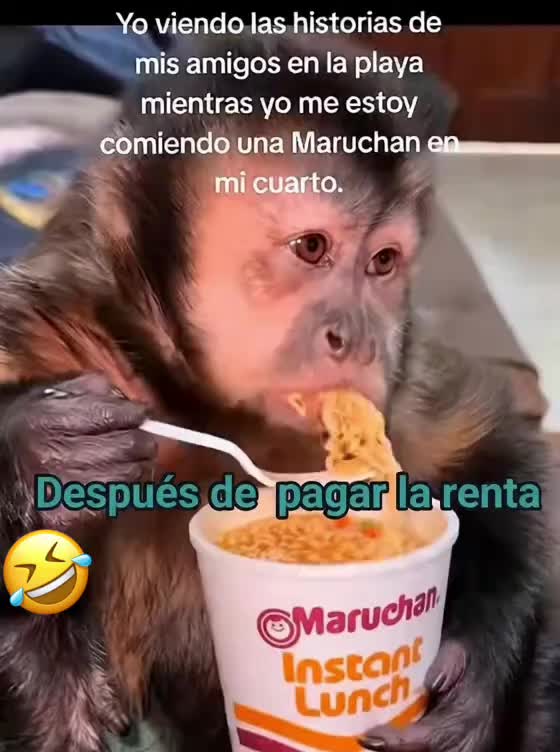 @MEXICANO FOREVER 😎🇲🇽🍀💵