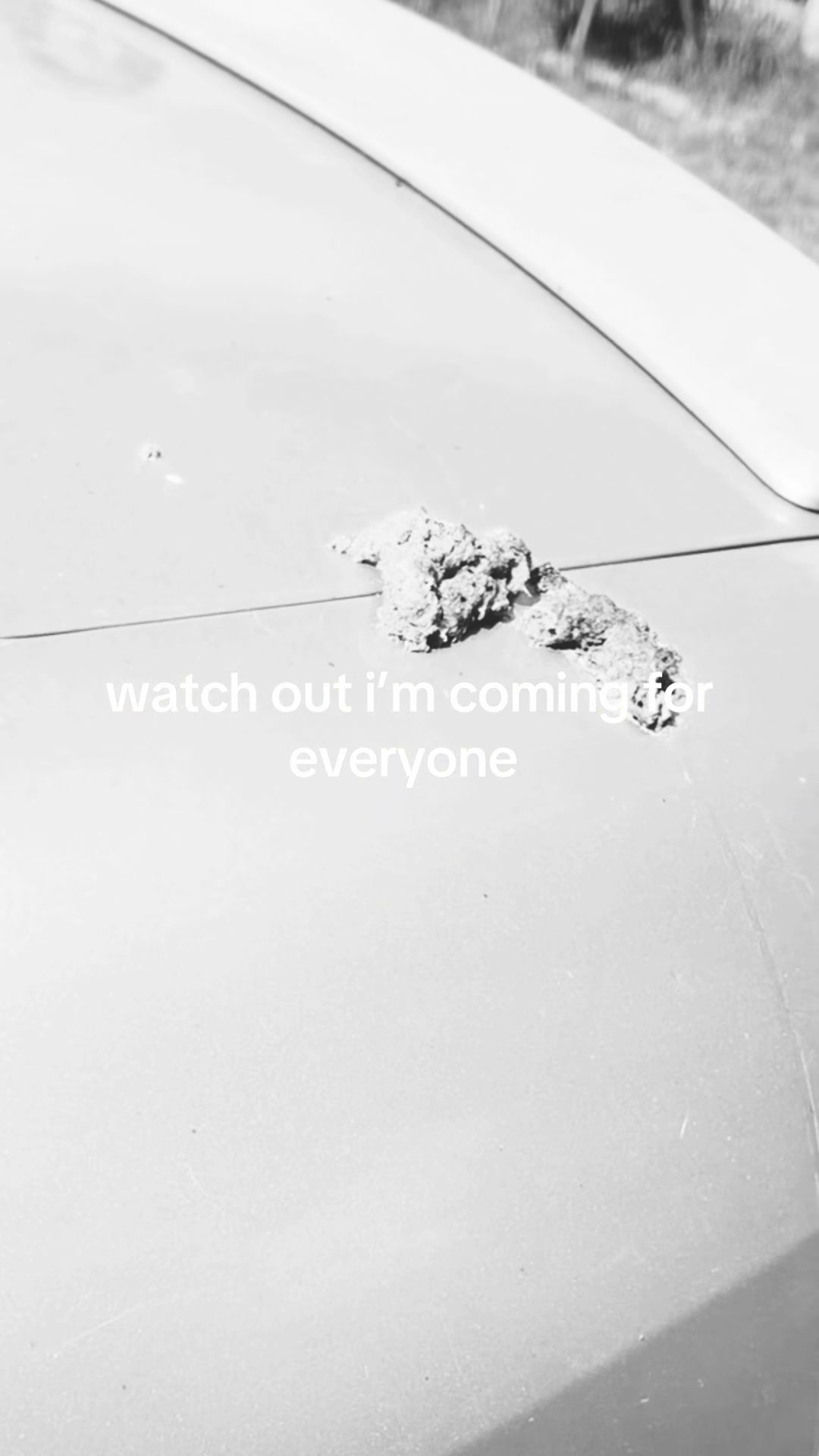 @the goat