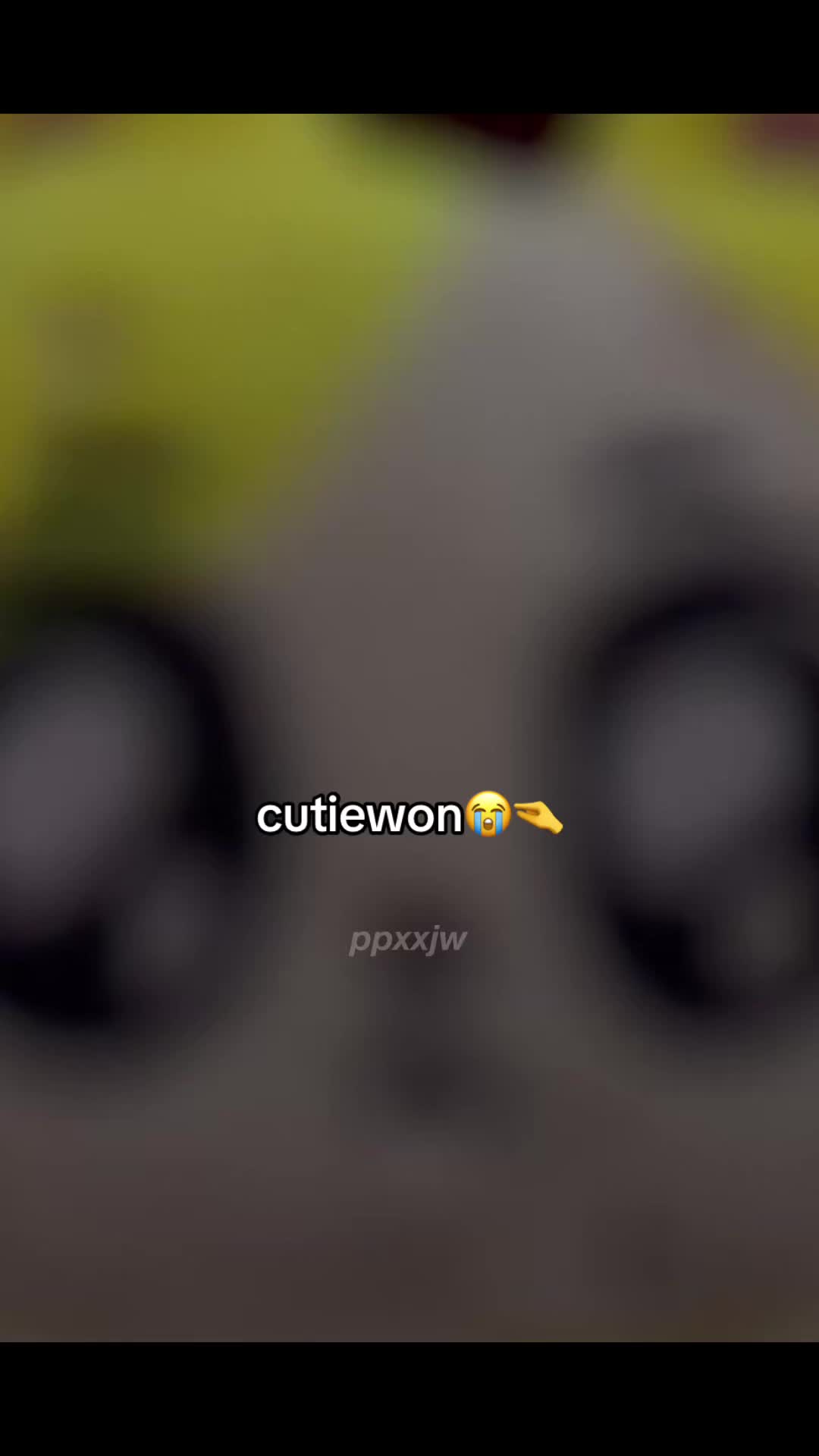 @𝓵𝔂𝓮𝓲_𝔀𝓸𝓷𝓲𝓮𝓮꣑ৎ