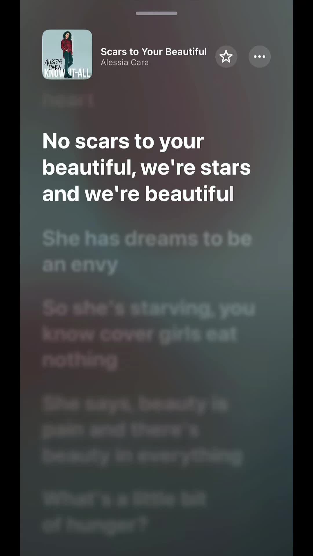 @Ladybug🐞