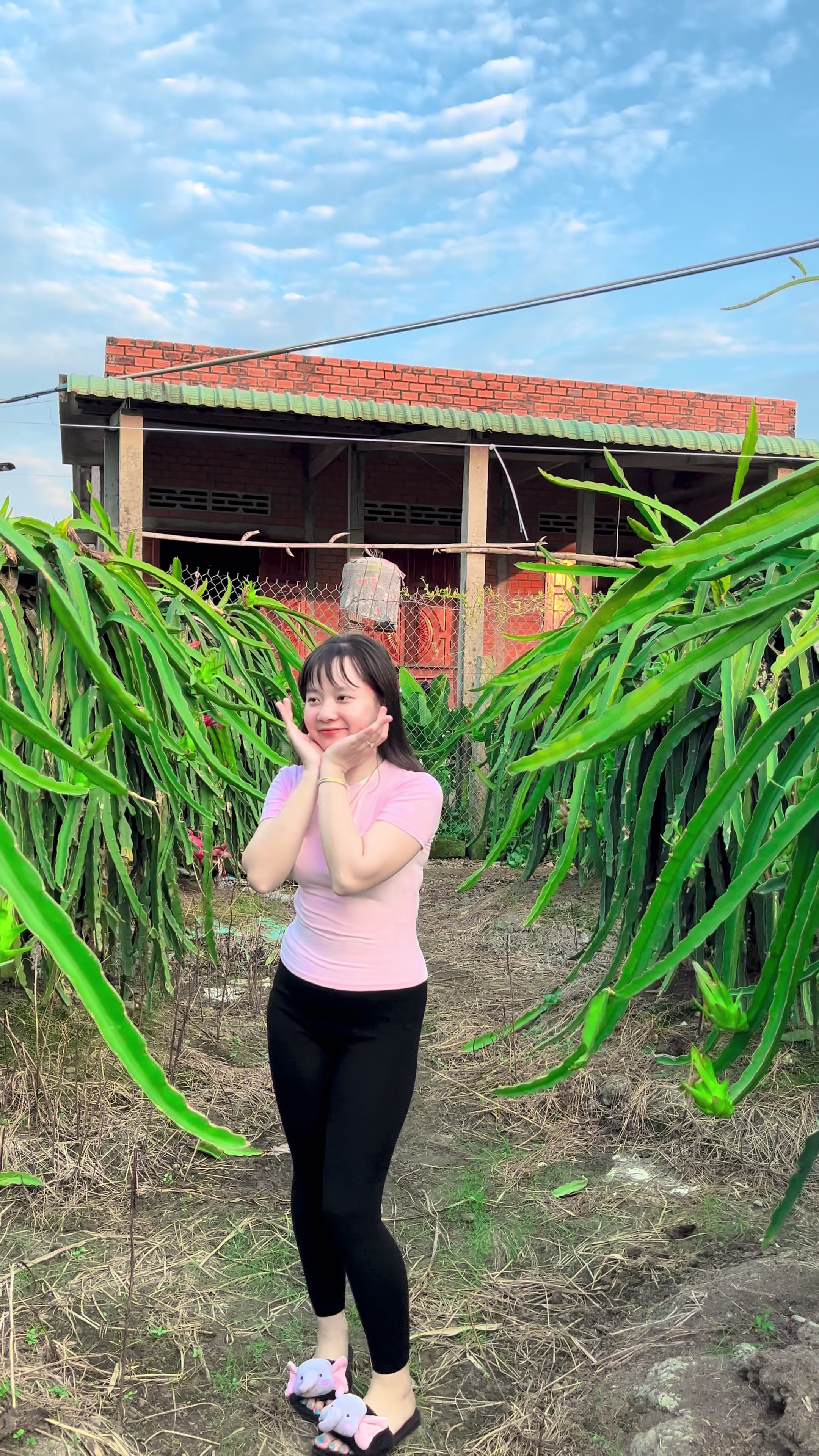 @Cẩm Tr&uacute;c