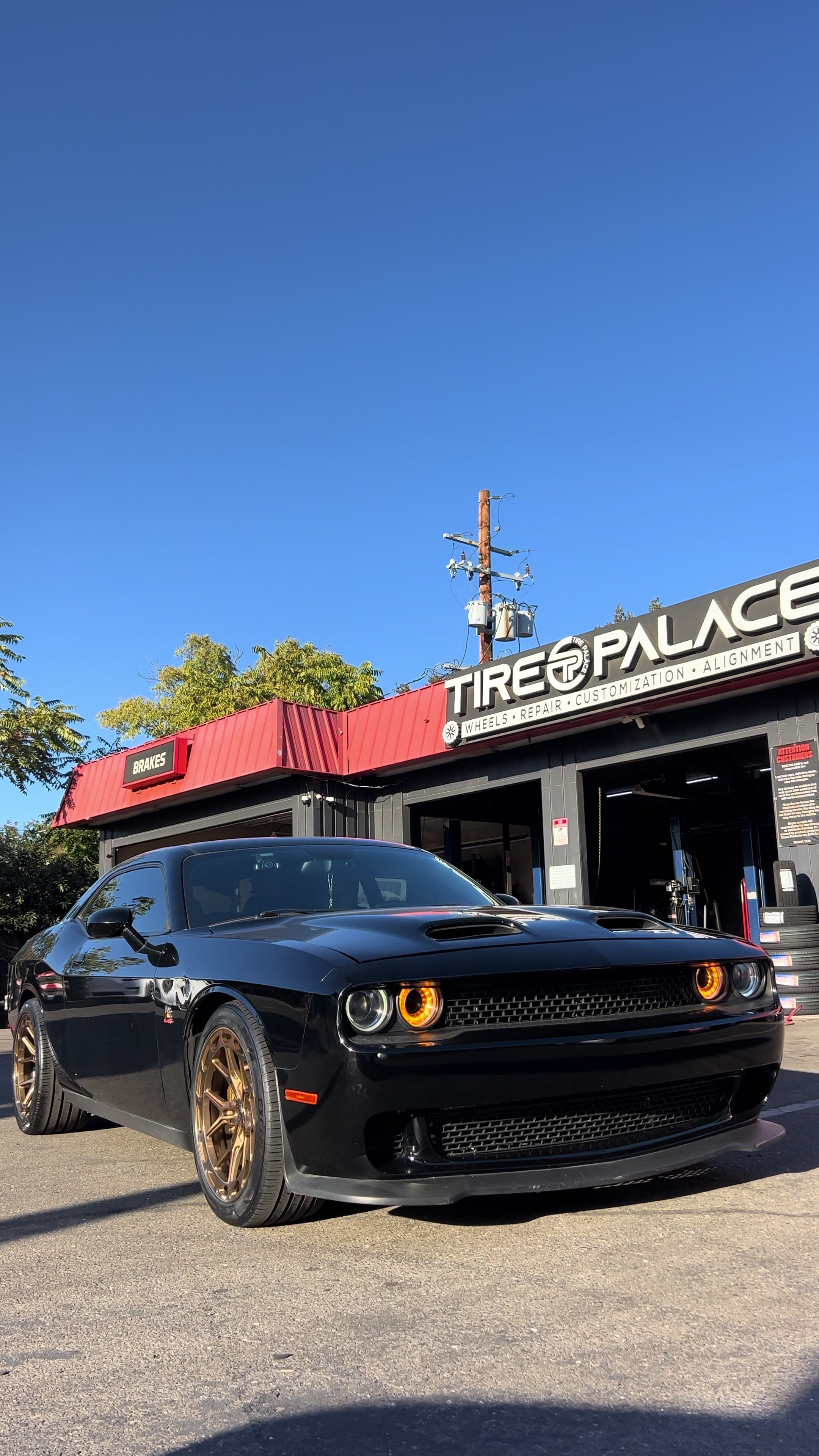 @tirepalace