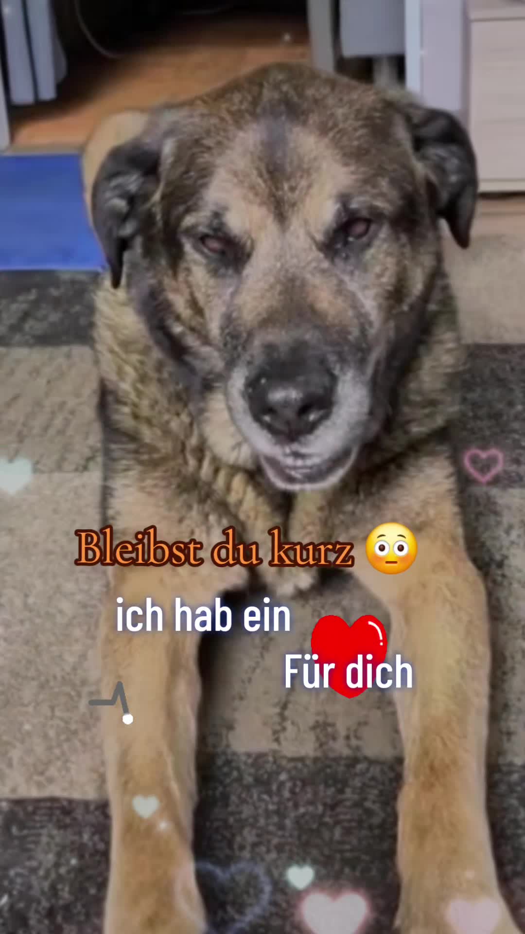 @💝Olle💜Emma🤎Fritz💟Mutti💌
