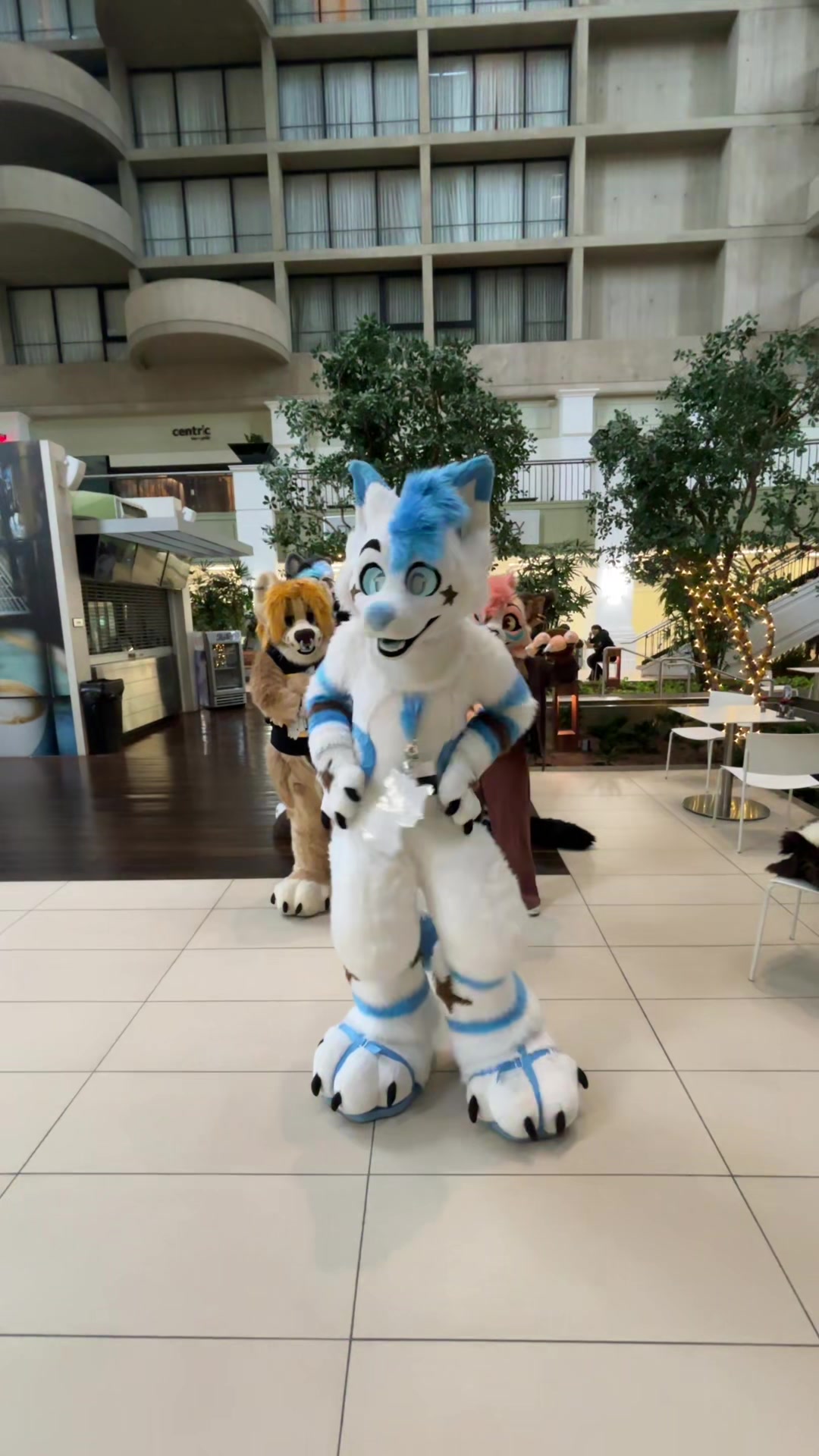 @BlueFoxNova