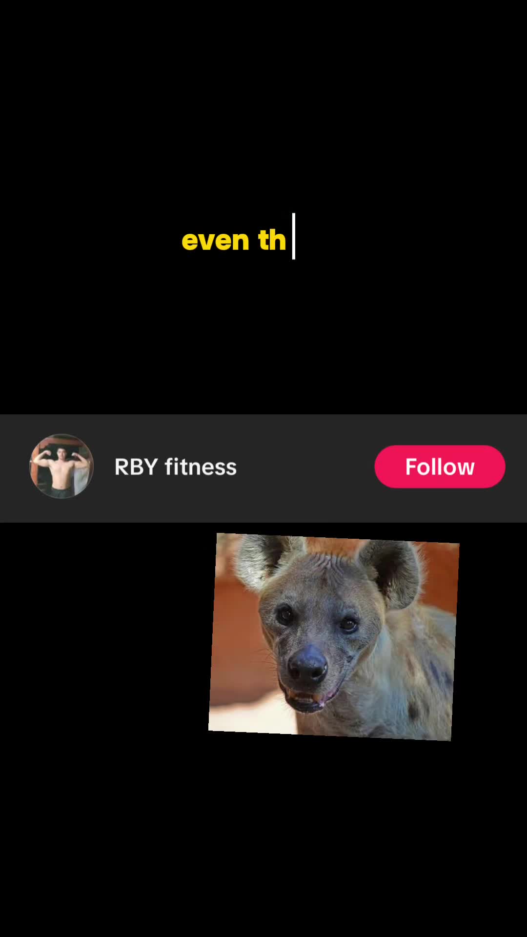 @AbrahamTheHyena✝️