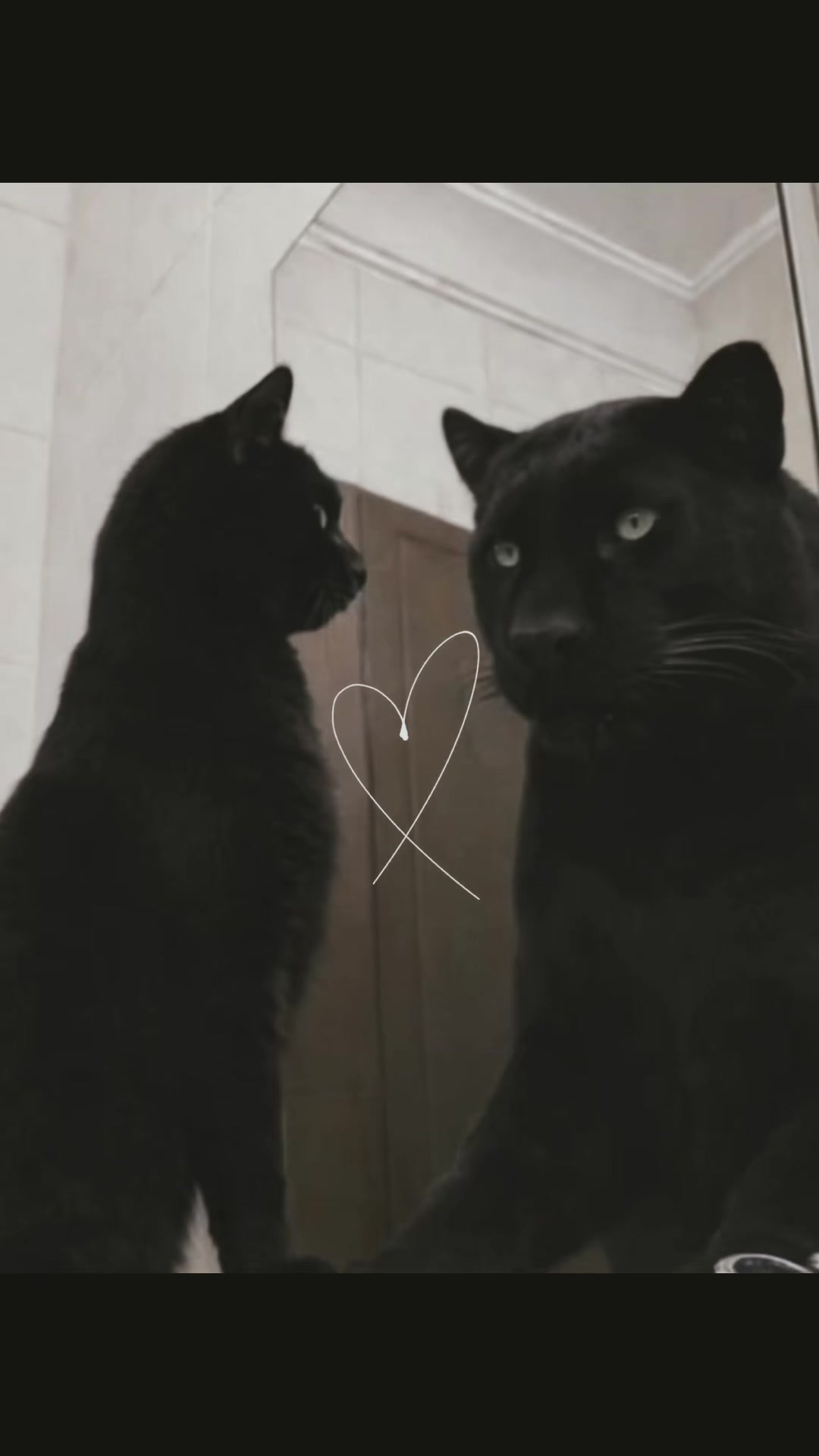 @тαy ♎︎︎