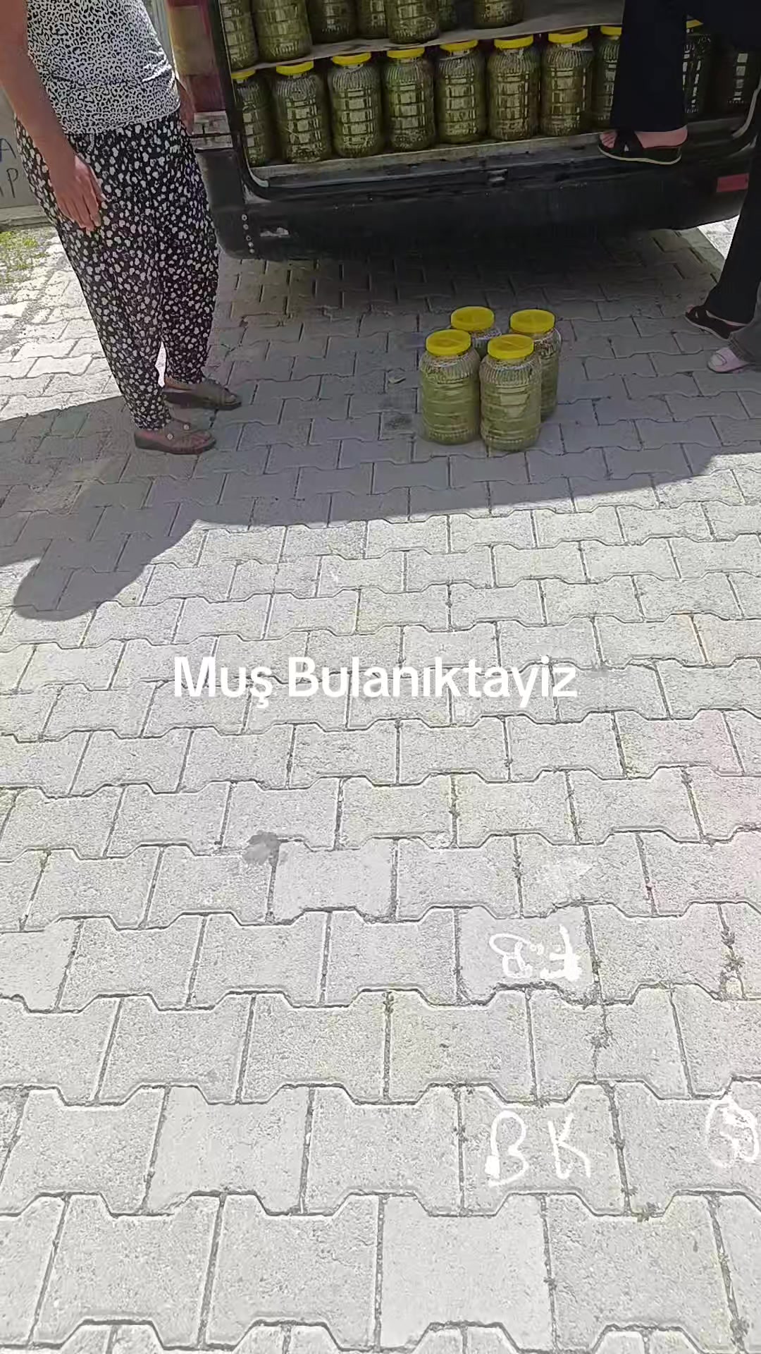 @DADALOĞLU