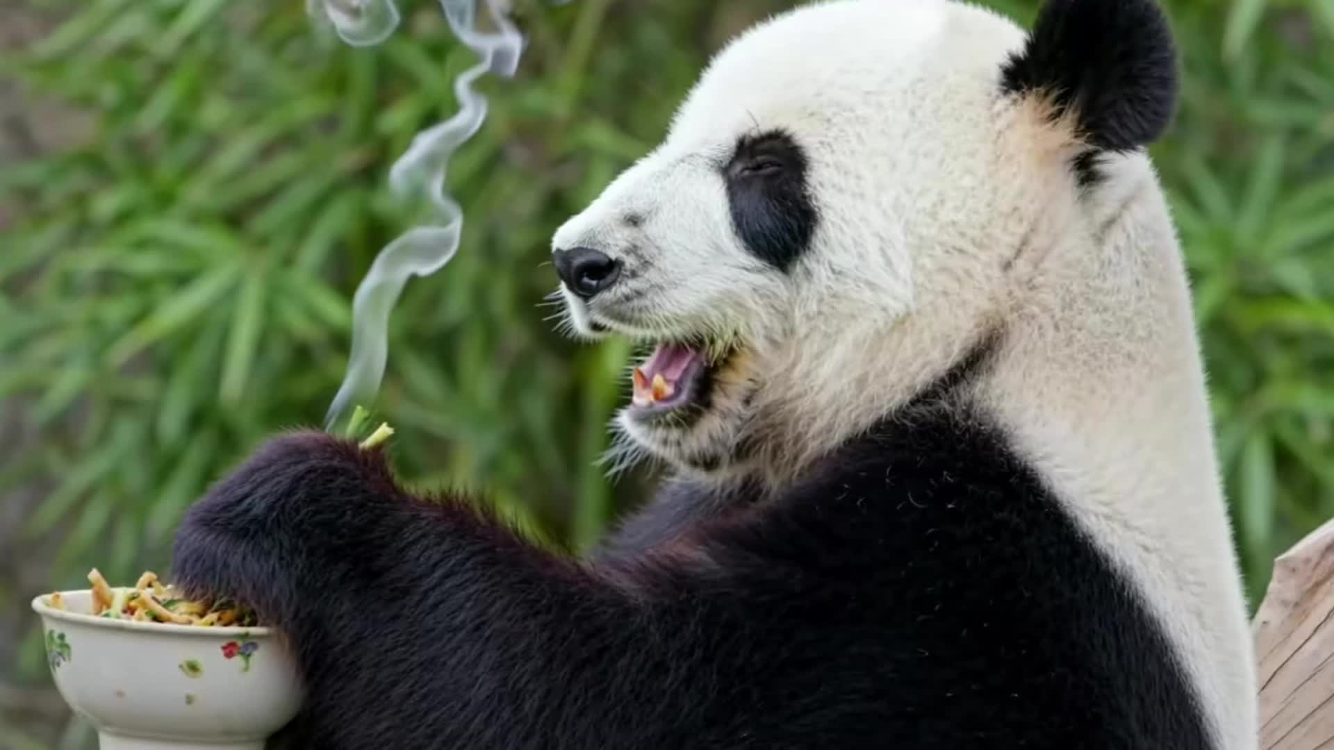 @lovepandas05