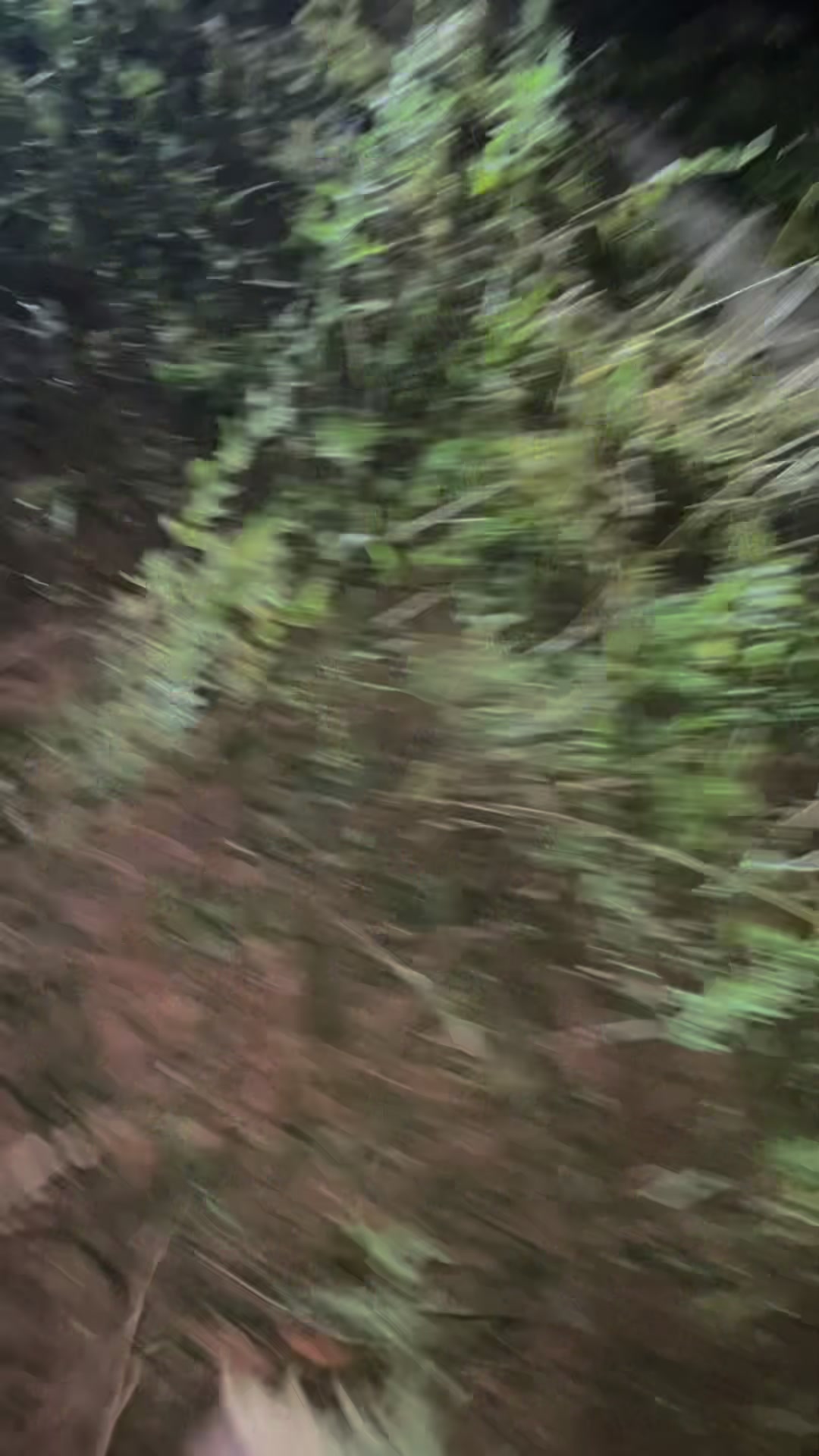 @that.clapped5.7