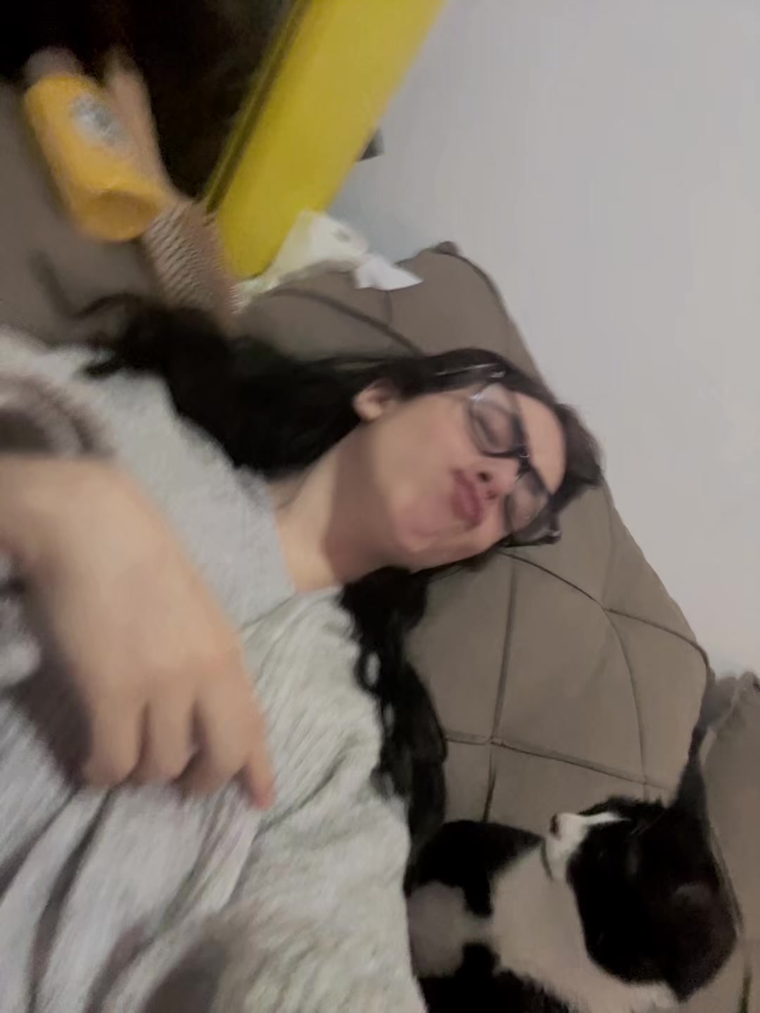 @lulyfpps