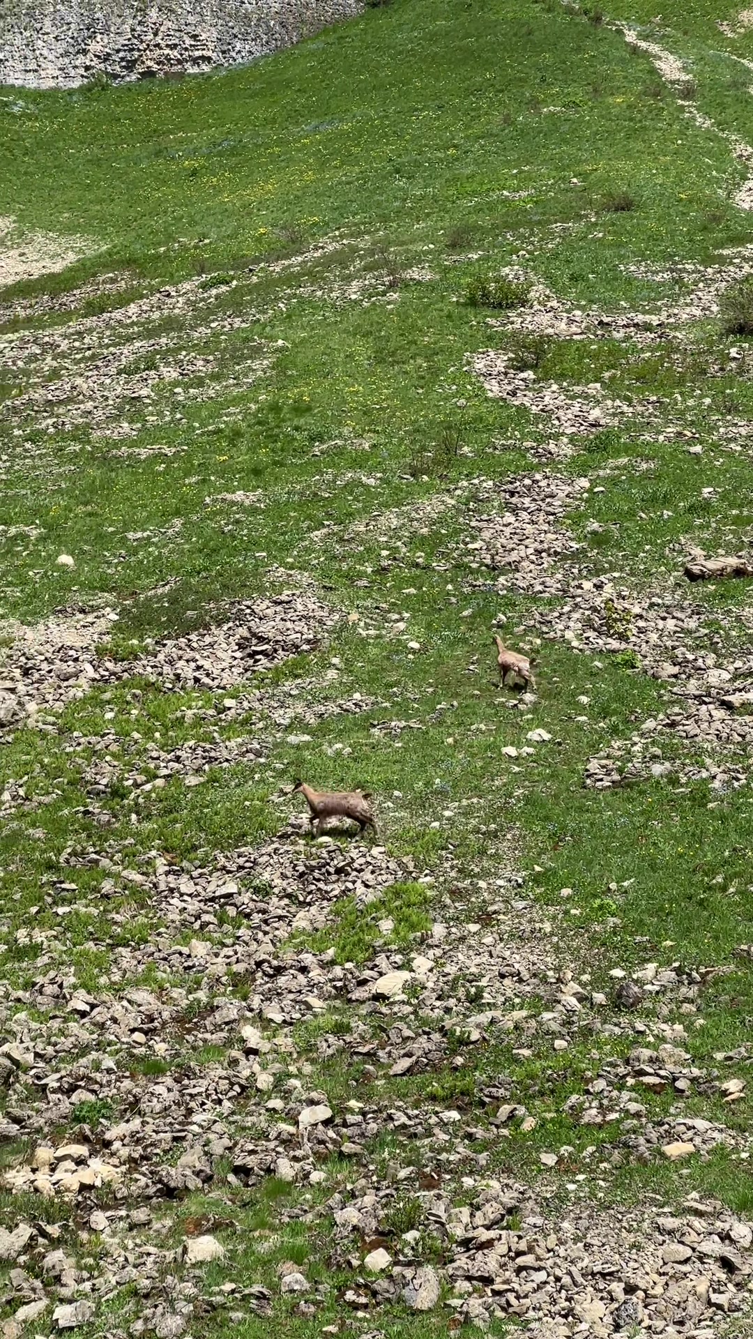 @Les 2 HS ⛰️