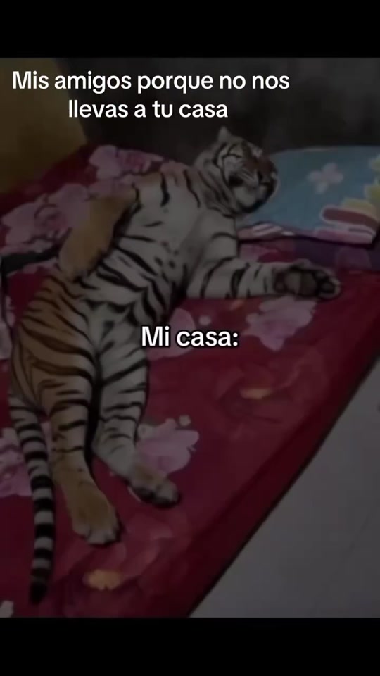 @chavo