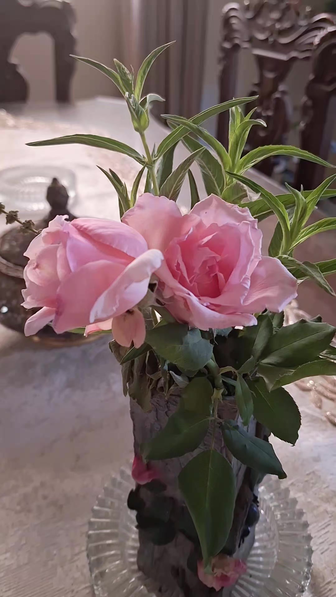 @جنتى