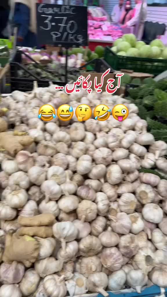 @Mehreen_Ahmed