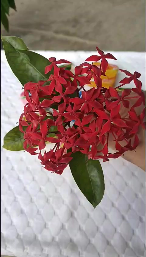 @Nguyễn Thiện Nh&acirc;n