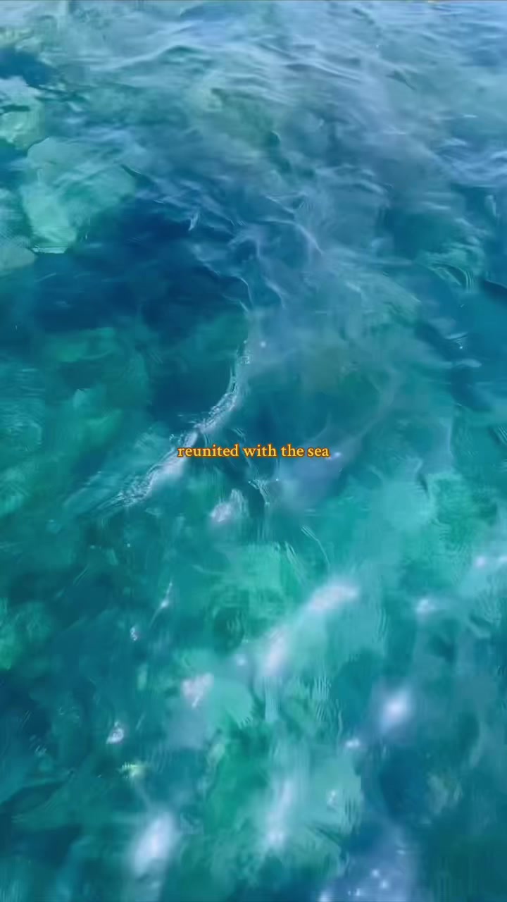 @cayayey