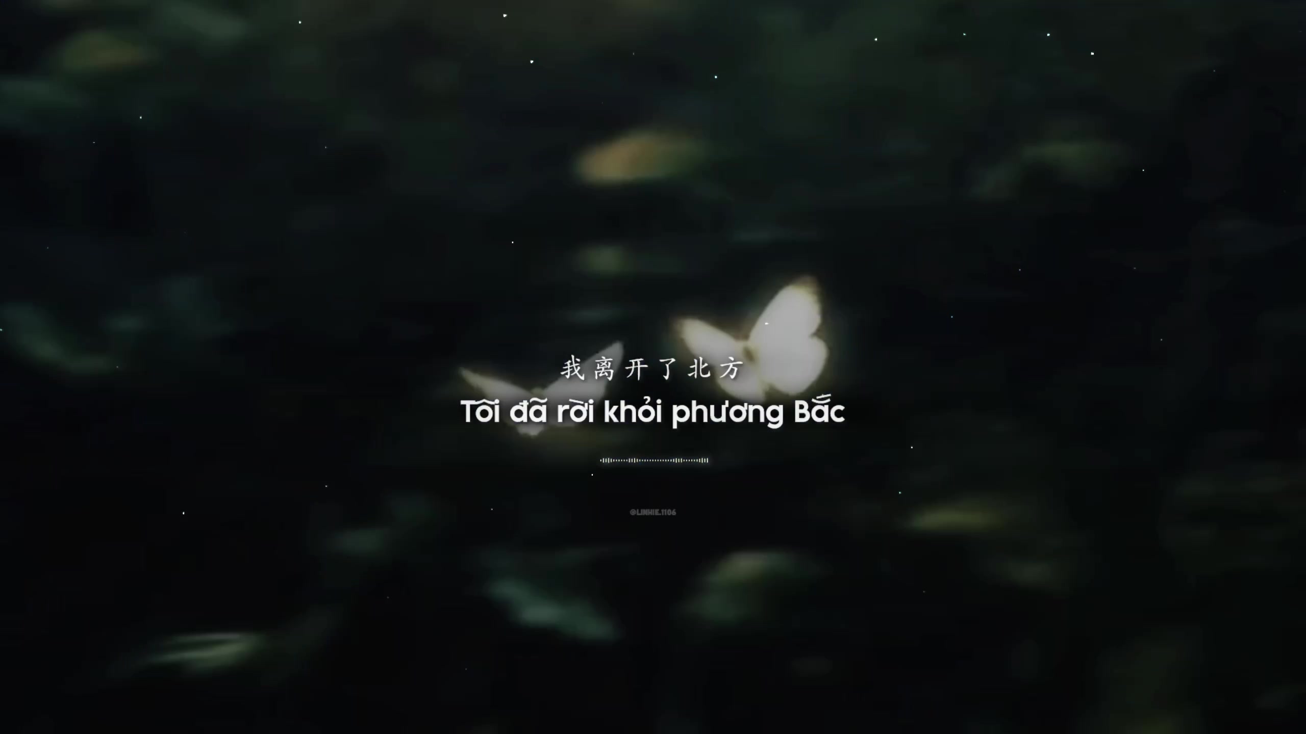 @𝙀𝙘𝙝𝙤