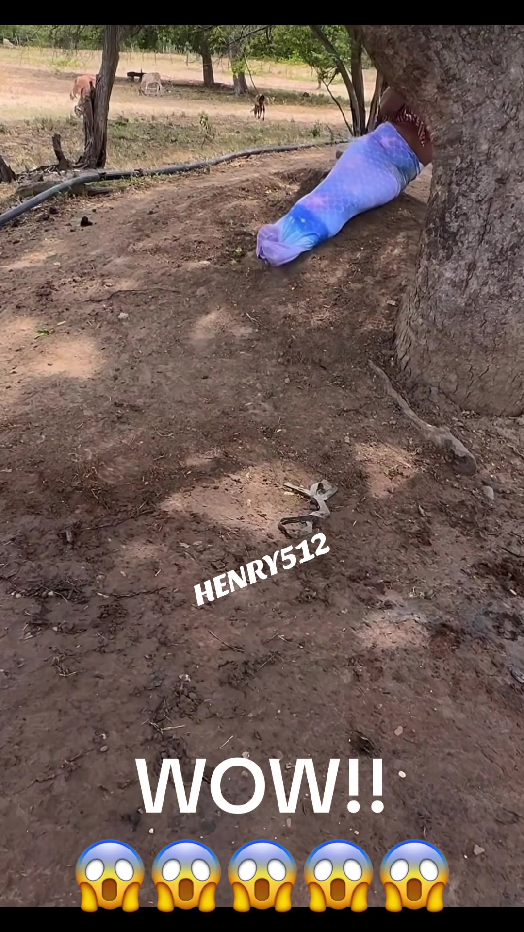 @HENRY512