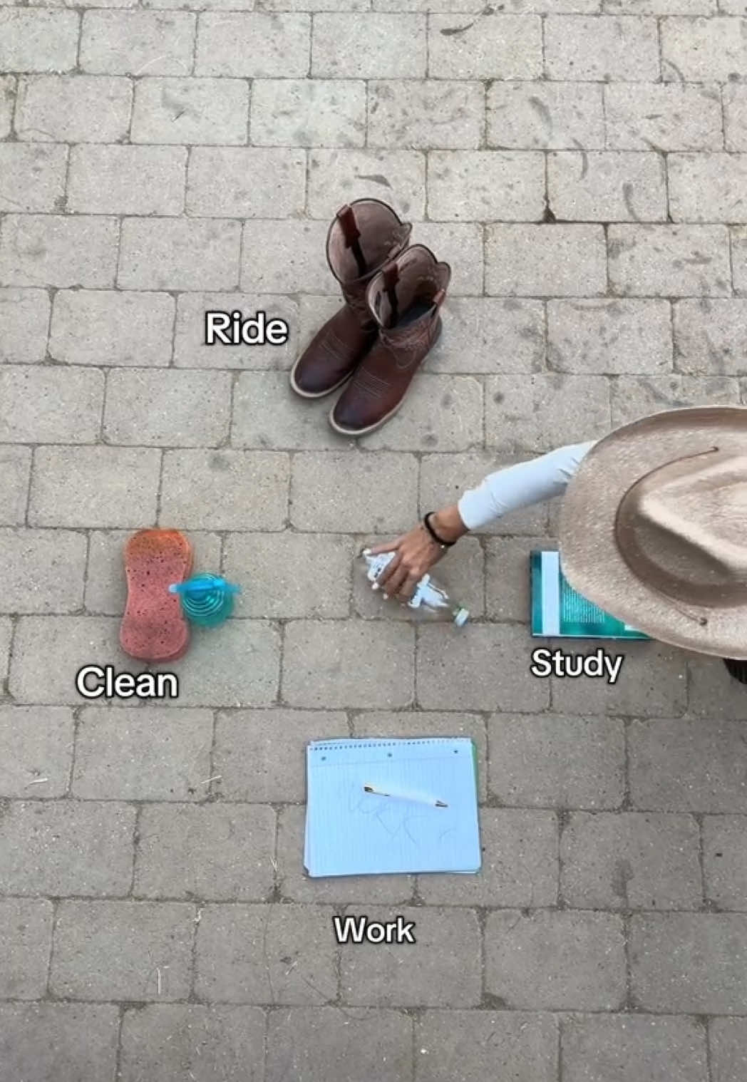 @Free Ride Equestrian