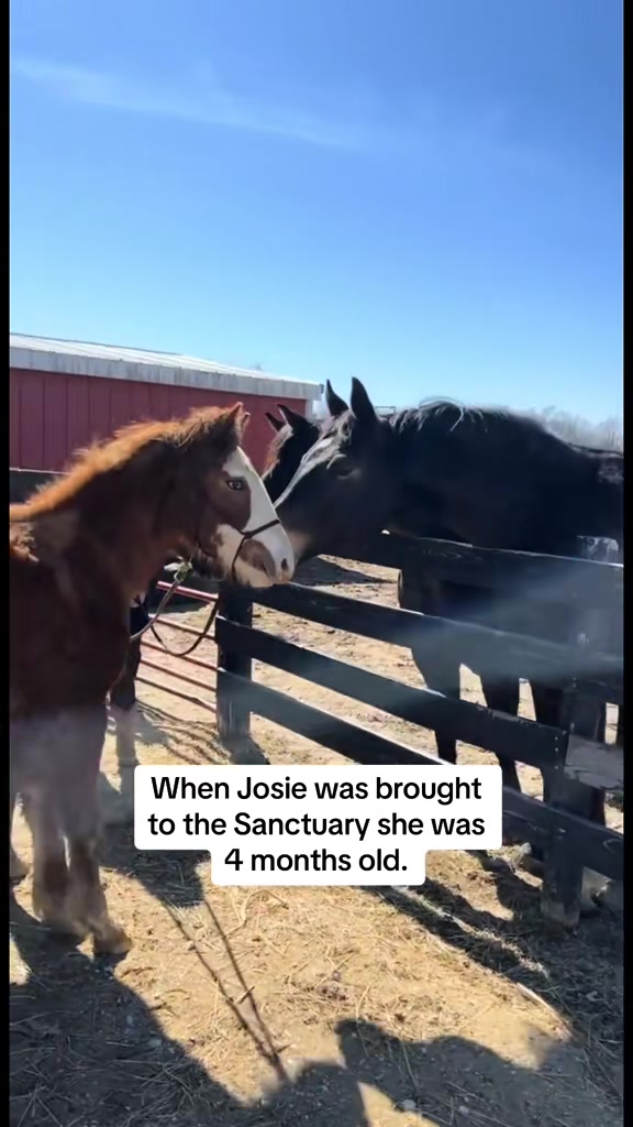 @Solstice Sanctuary