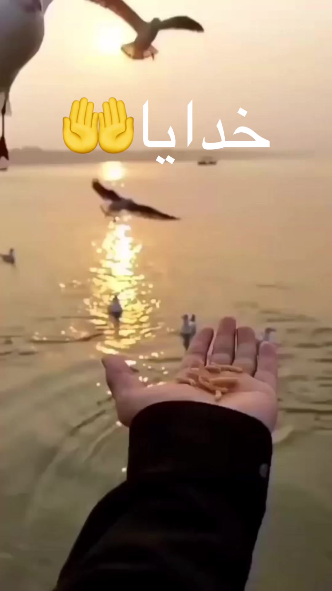 @Setareh