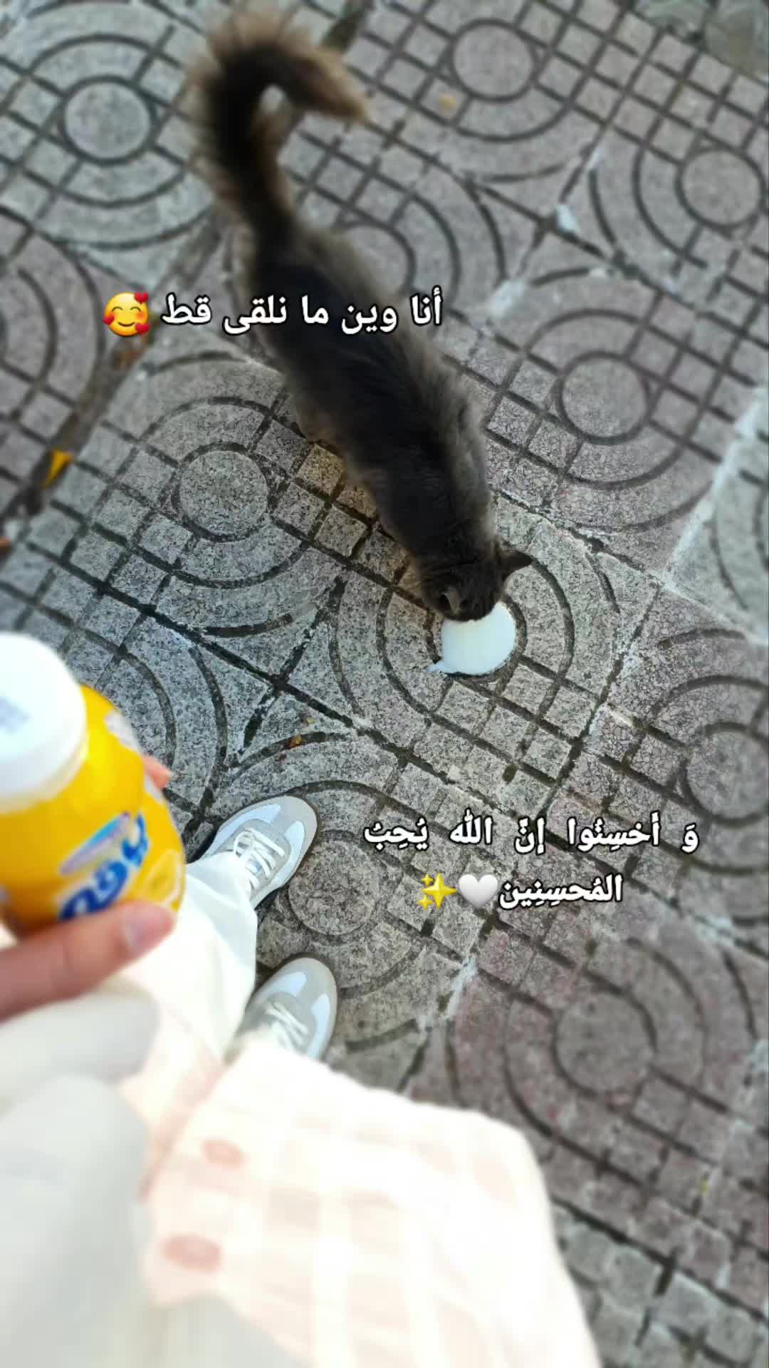 @maroi.gherbi