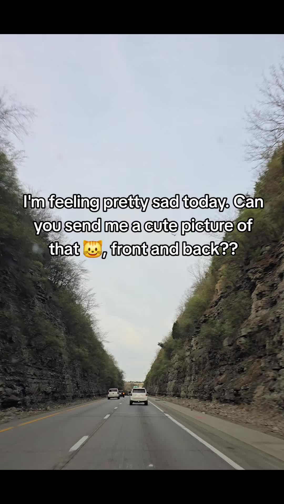 @BeeJaysBeforeBreakfast