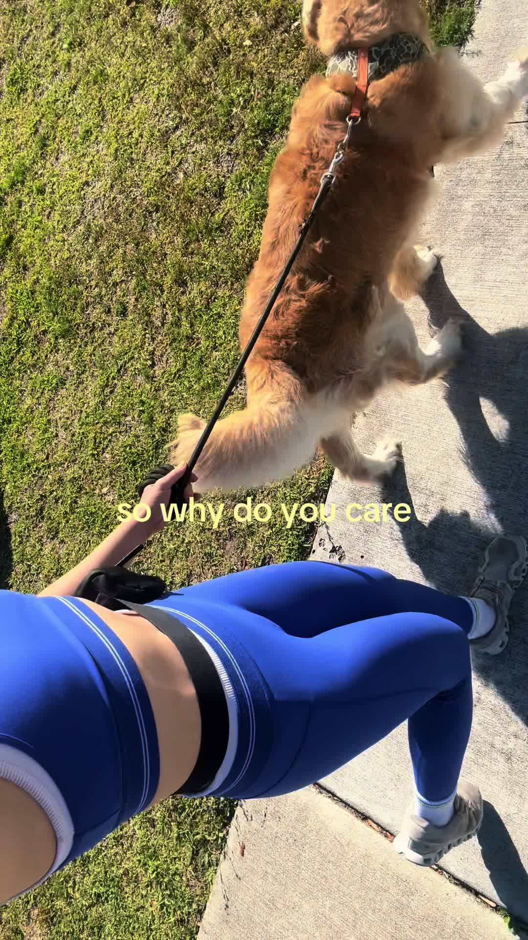 @abi