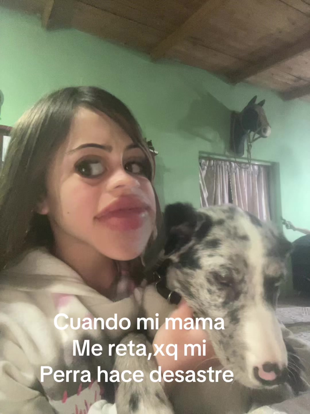 @Agostinita 👑