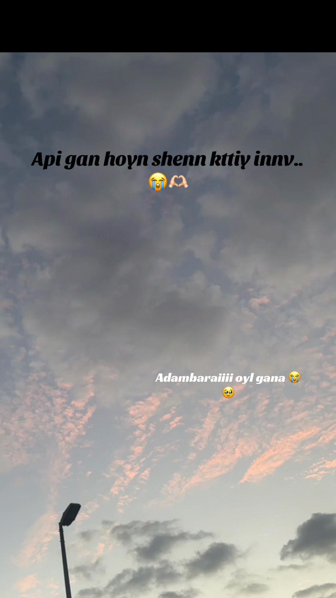 @sanduu0503