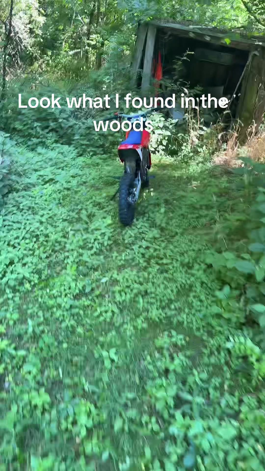 @itstheebikeguy