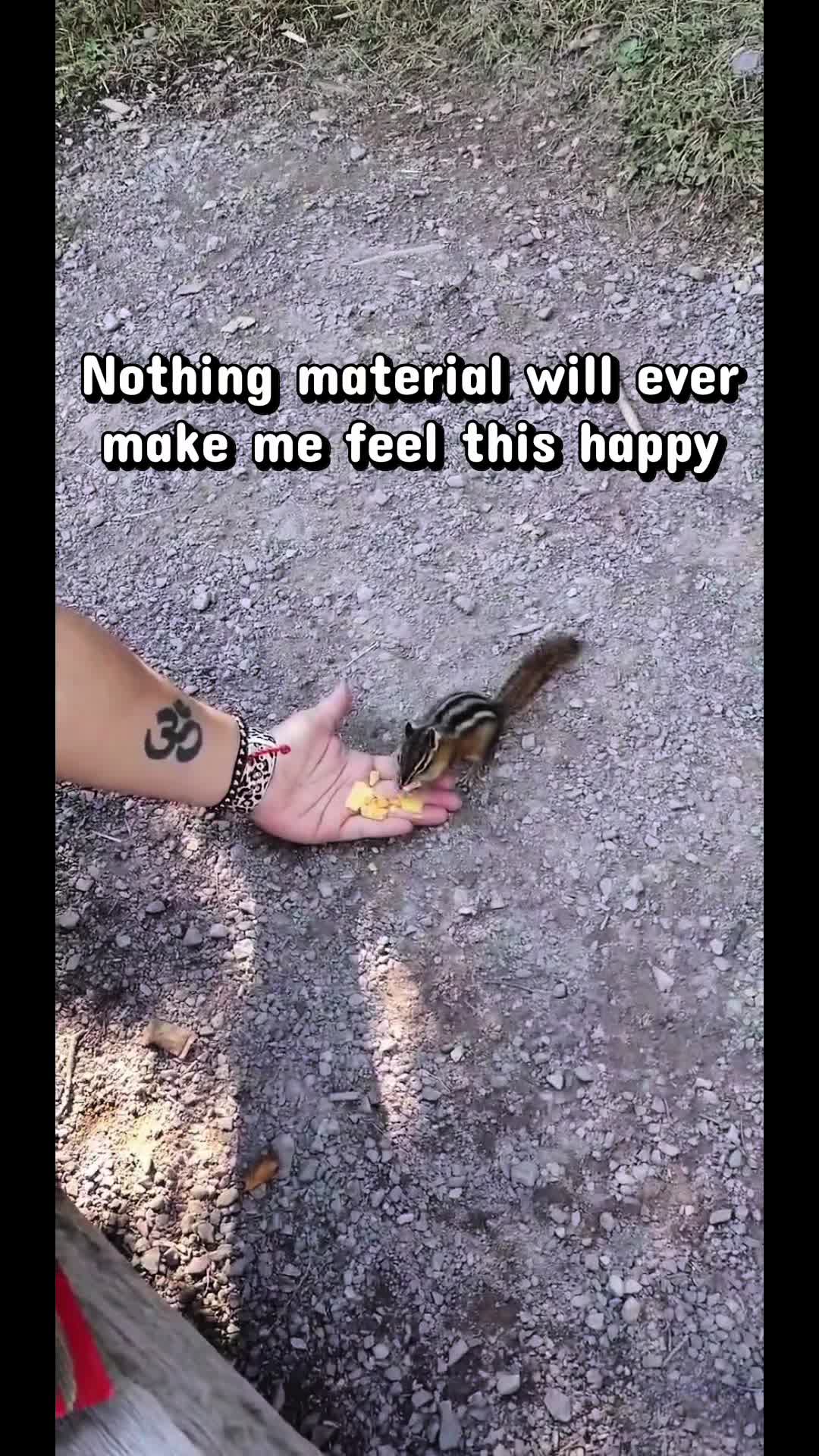 @jamiemcginley