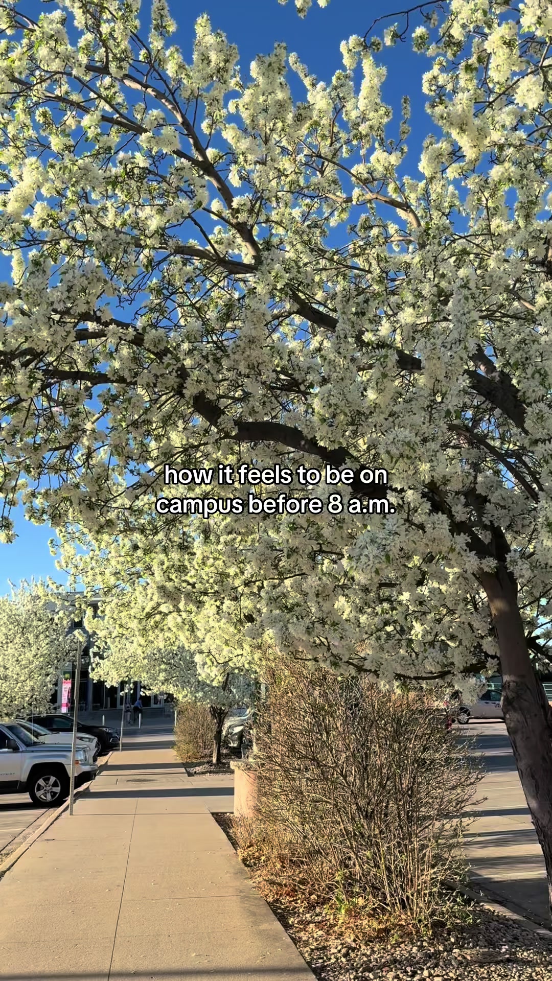 @Colorado State University