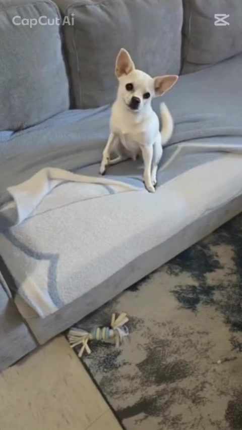 @userdogcharlie21