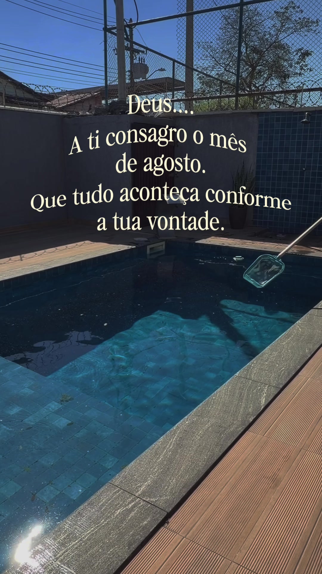 @Alineamorimooficial