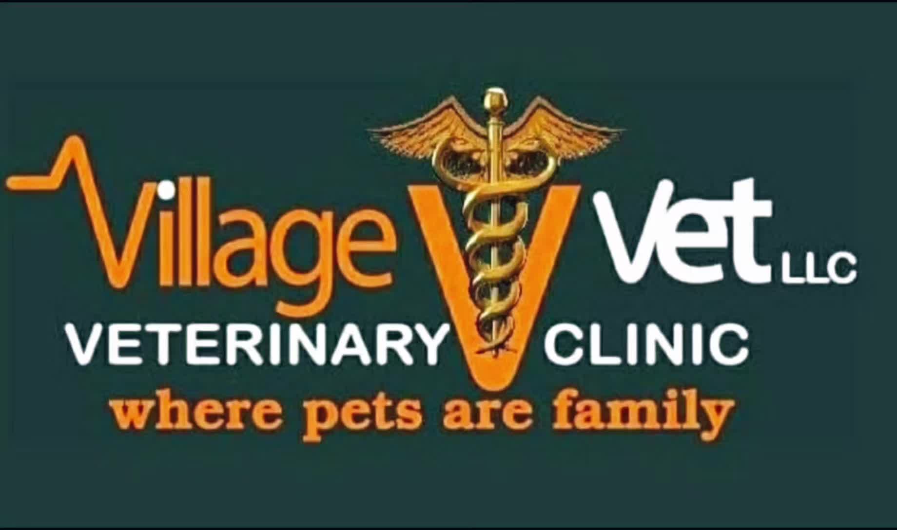 @VillagevVet LLC