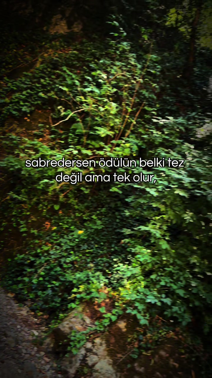 @Droneçekimigebze
