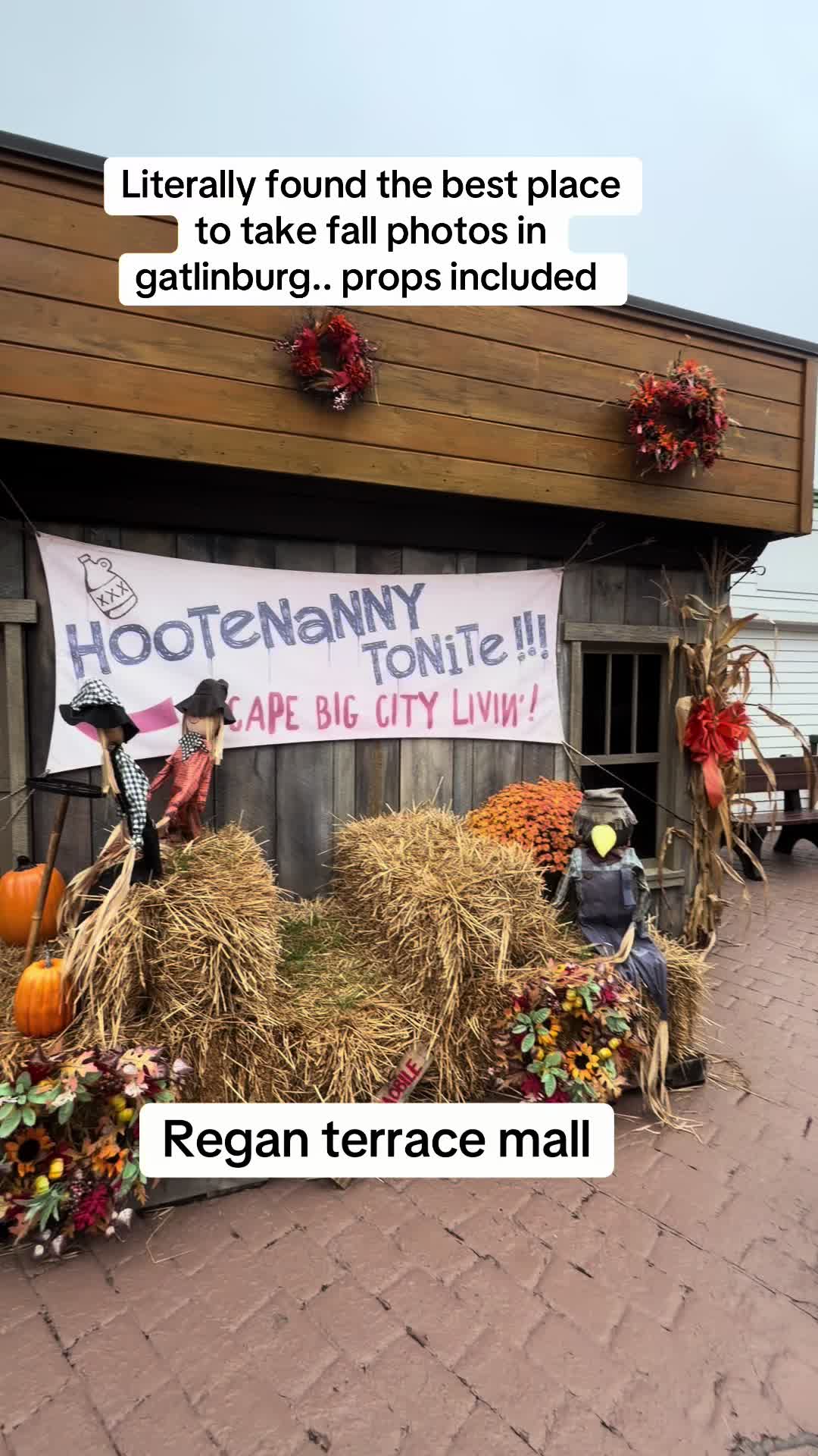 @NotbeingPetty
