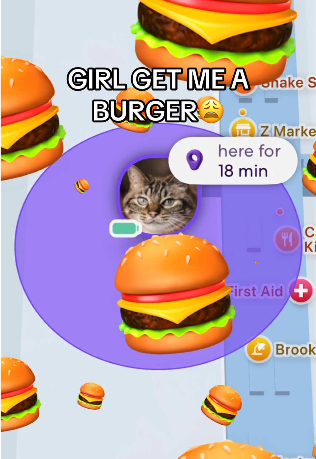 @Life360