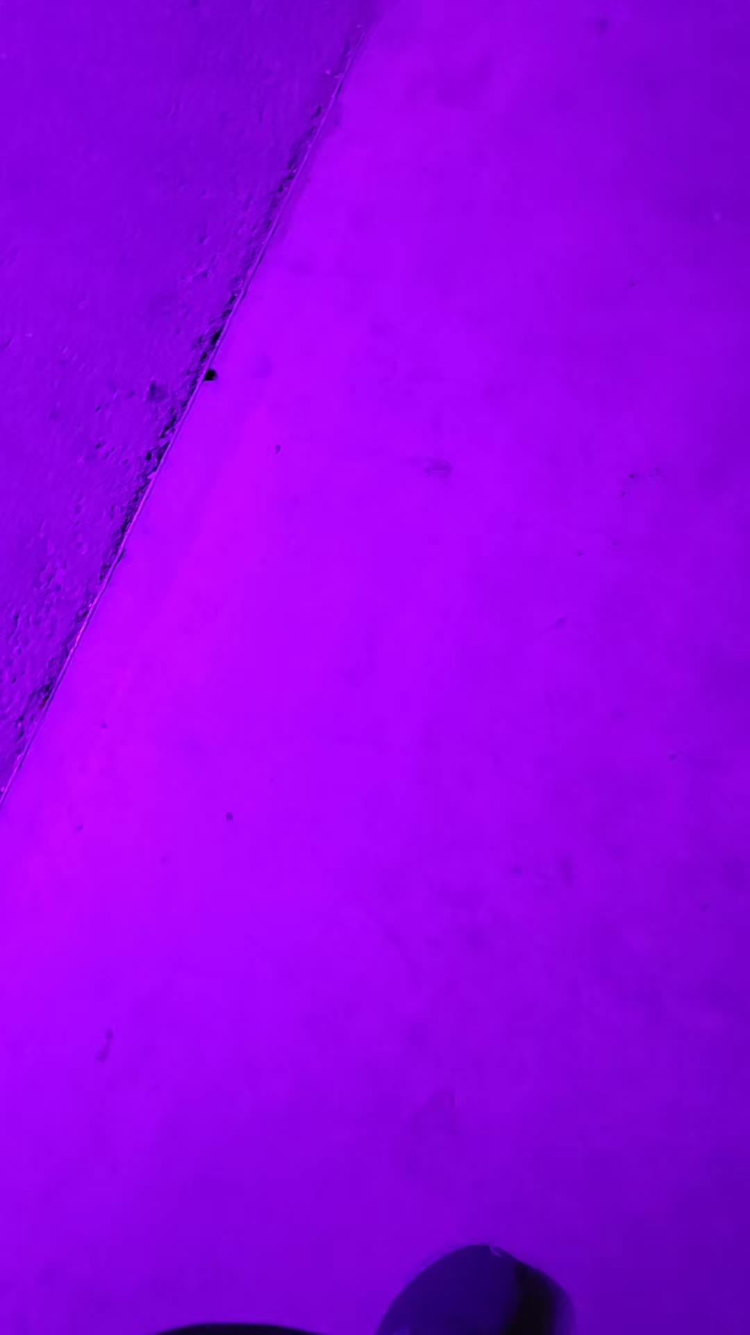 @Fabi_dorf17