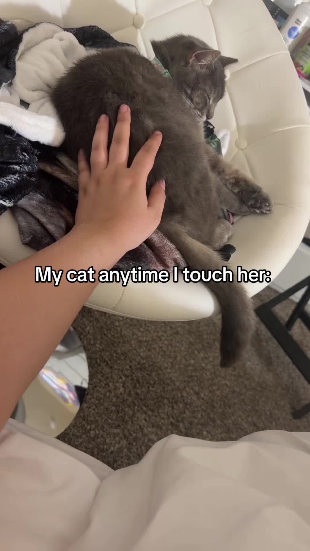 @lollokat