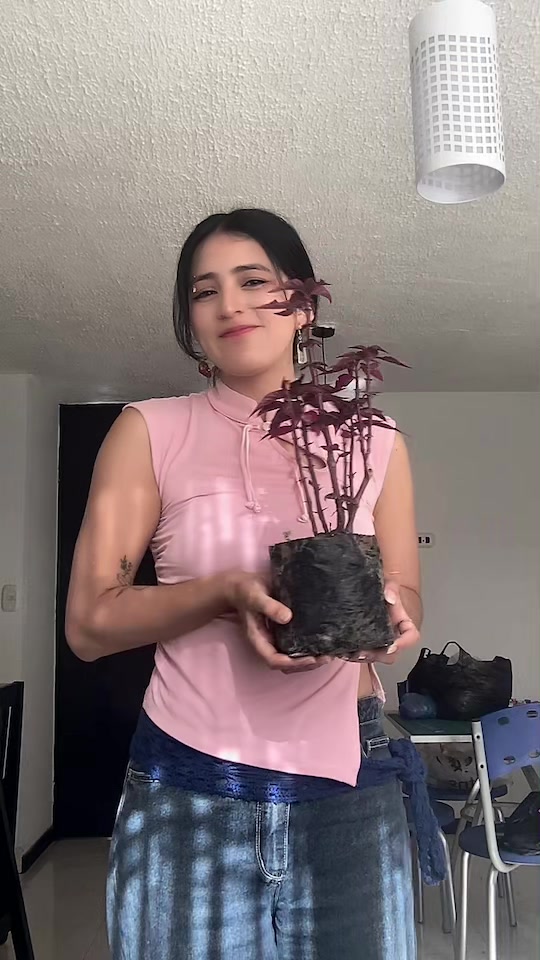 @Danielavaus