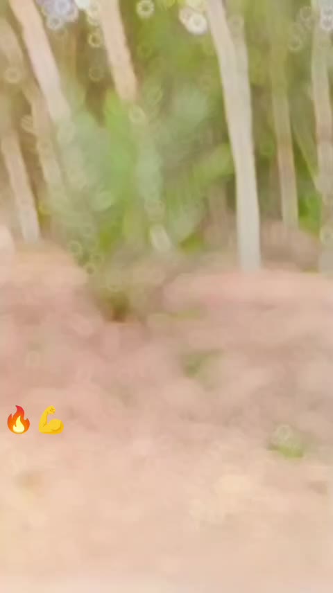 @itx-usama💫366