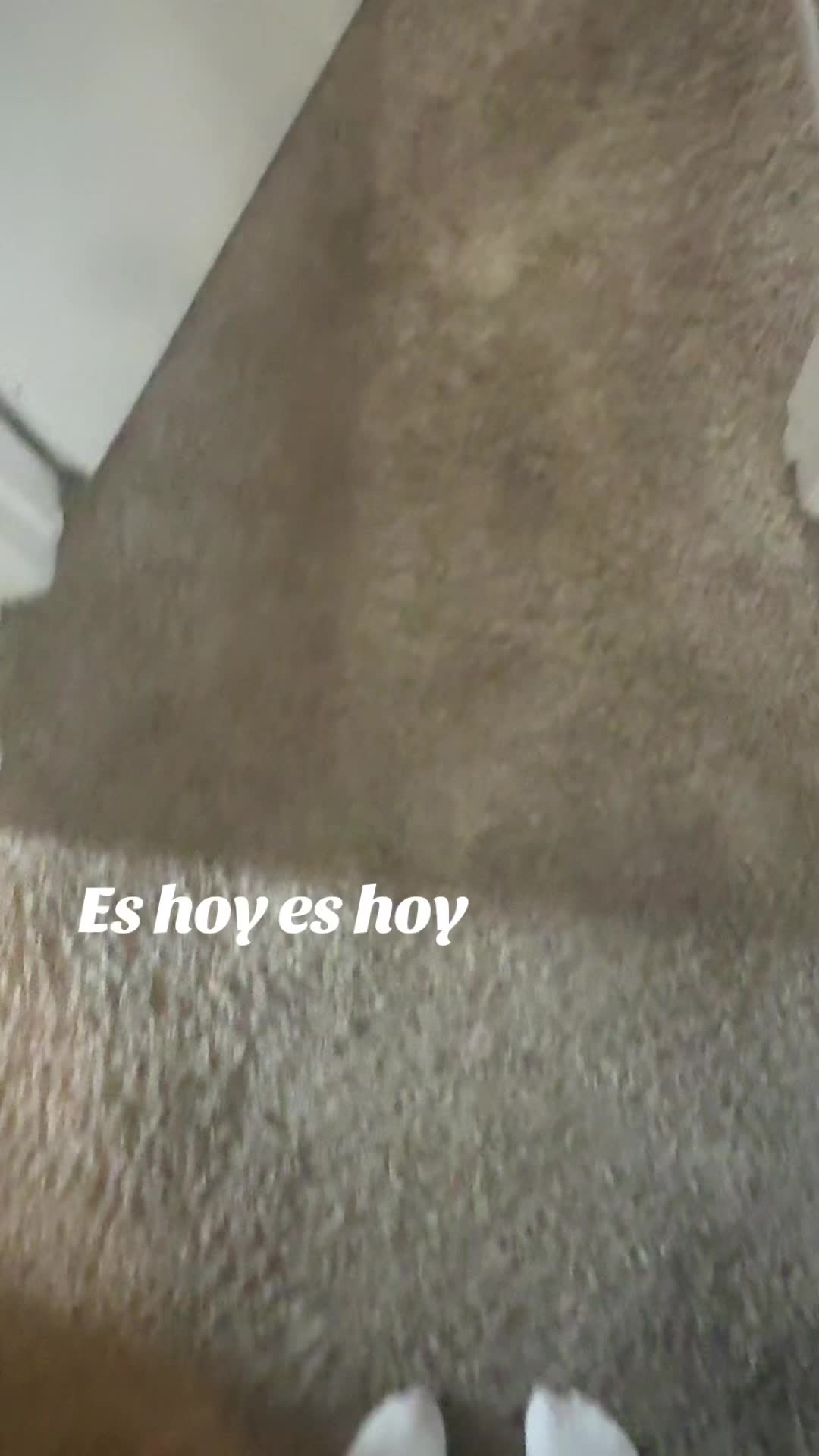 @aliannevalencia