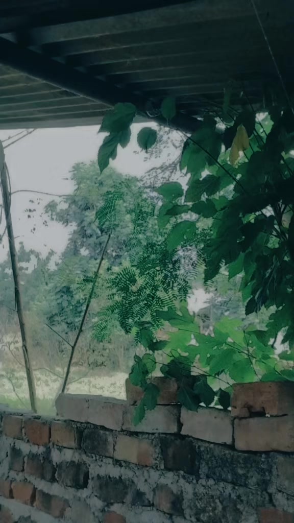 @kanxa ko kanxi 🤌🫣