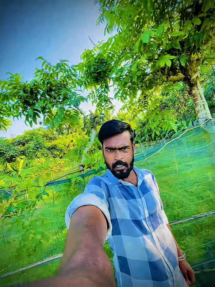 @banglavai4