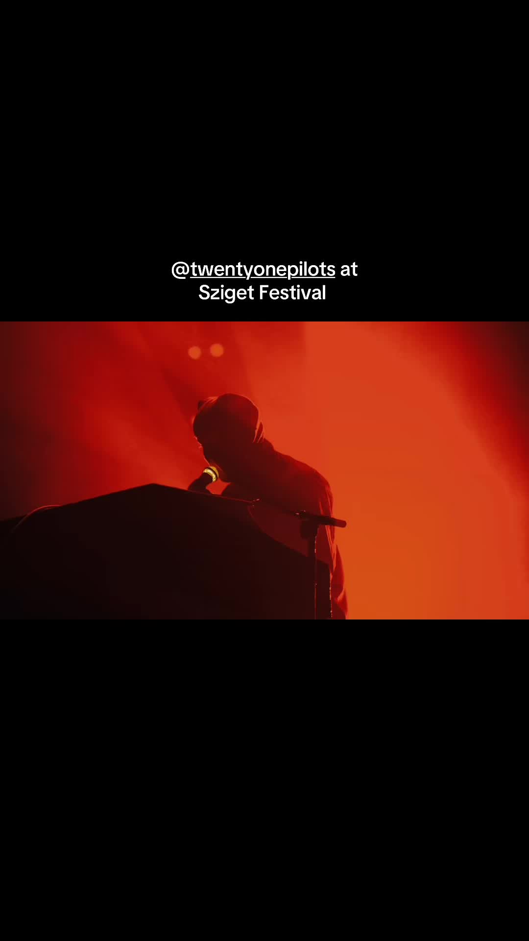 @treacle.photos
